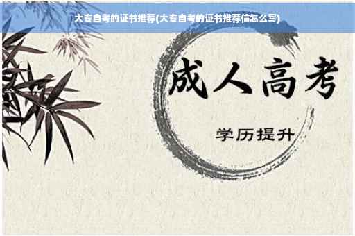 大专自考的证书推荐(大专自考的证书推荐信怎么写)