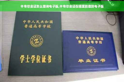 中专毕业证怎么查询电子版,中专毕业证在哪里能查到电子版