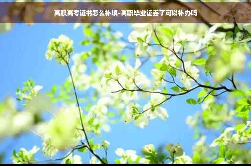 高职高考证书怎么补填-高职毕业证丢了可以补办吗
