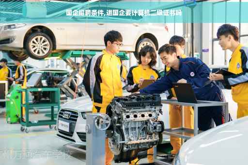 国企招聘条件,进国企要计算机二级证书吗