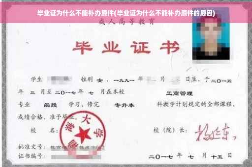 毕业证为什么不能补办原件(毕业证为什么不能补办原件的原因)