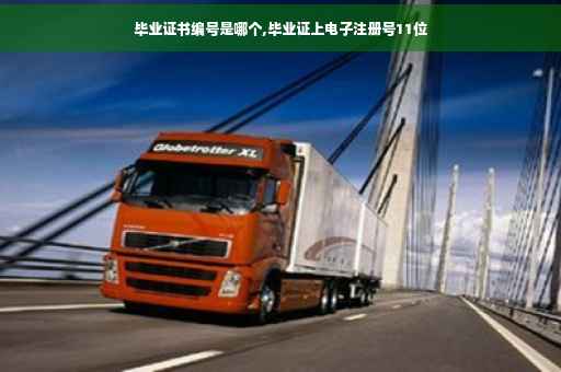 毕业证书编号是哪个,毕业证上电子注册号11位 毕业证书编号是哪个,毕业证上电子注册号11位