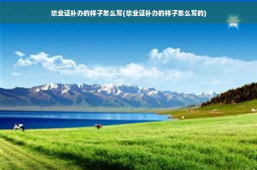 毕业证补办的样子怎么写(毕业证补办的样子怎么写的)