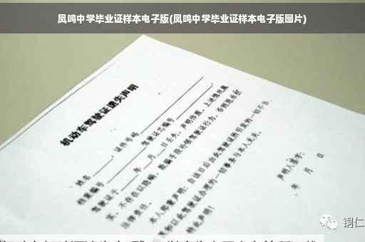 凤鸣中学毕业证样本电子版(凤鸣中学毕业证样本电子版图片)