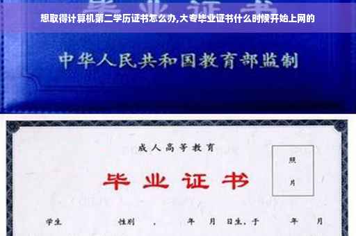 想取得计算机第二学历证书怎么办,大专毕业证书什么时候开始上网的