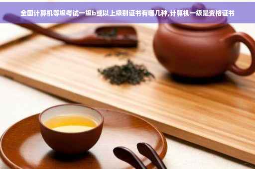 全国计算机等级考试一级b或以上级别证书有哪几种,计算机一级是资格证书