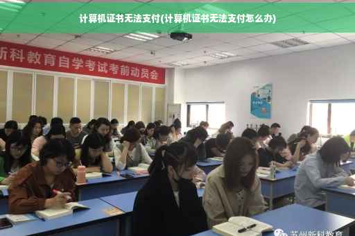 计算机证书无法支付(计算机证书无法支付怎么办)