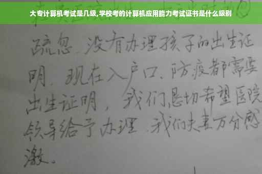 大专计算机考试是几级,学校考的计算机应用能力考试证书是什么级别