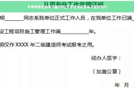 大学毕业证有电子版的吗(大学毕业证有电子版的吗?)