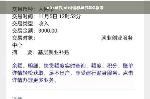 nits证书,nit计算机证书怎么报考