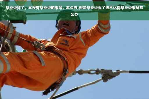 毕业证掉了，又没有毕业证的编号，怎么办,但是毕业证丢了也不记得毕业证编码怎么办