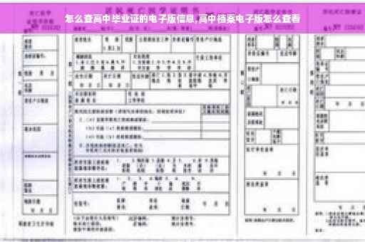 怎么查高中毕业证的电子版信息,高中档案电子版怎么查看