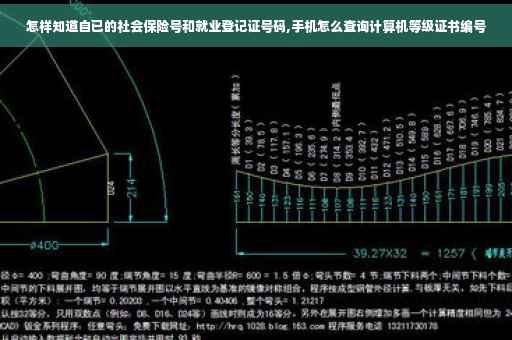 怎样知道自已的社会保险号和就业登记证号码,手机怎么查询计算机等级证书编号