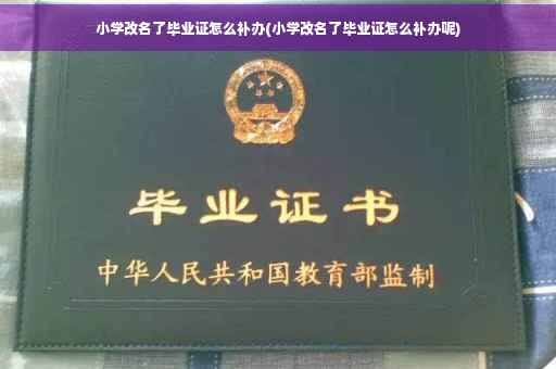 小学改名了毕业证怎么补办(小学改名了毕业证怎么补办呢)