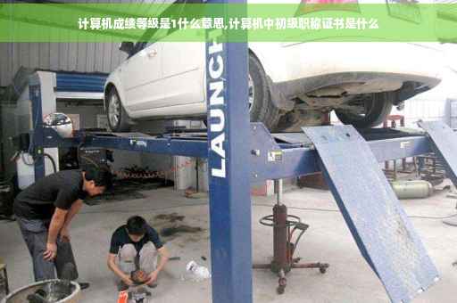 计算机成绩等级是1什么意思,计算机中初级职称证书是什么