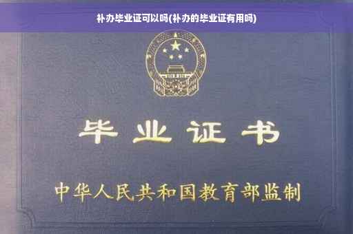 补办毕业证可以吗(补办的毕业证有用吗)