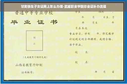 甘肃独生子女证网上怎么办理-武威职业学院毕业证补办流程