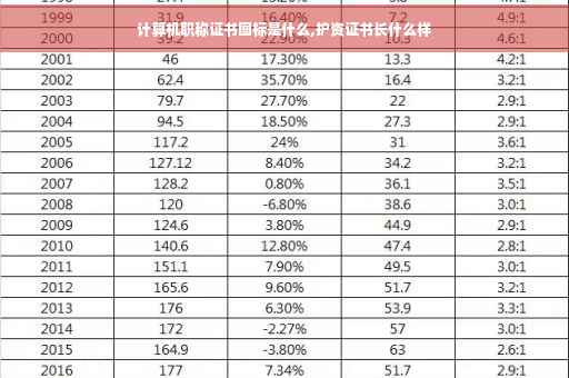 计算机职称证书图标是什么,护资证书长什么样