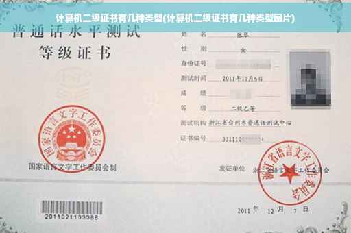 计算机二级证书有几种类型(计算机二级证书有几种类型图片)