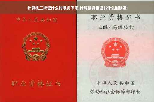 计算机二级证什么时候发下来,计算机资格证书什么时候发