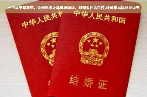 一个高中毕业生，要是想考计算机等级证，都需要什么条件,计算机高级职业证书