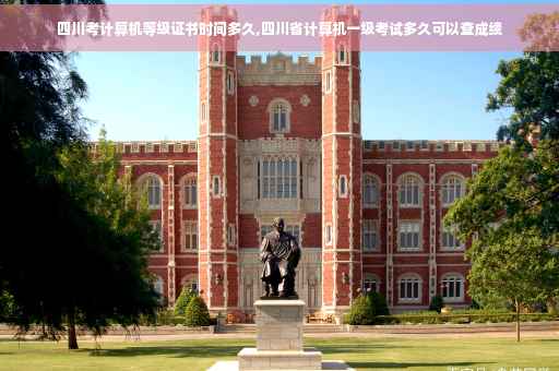 四川考计算机等级证书时间多久,四川省计算机一级考试多久可以查成绩
