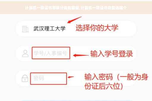 计算机一级证书等级分类有哪些,计算机一级证书类型选哪个