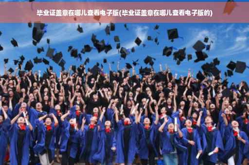 毕业证盖章在哪儿查看电子版(毕业证盖章在哪儿查看电子版的)