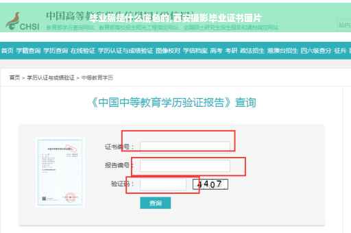 毕业照是什么底色的,西安摄影毕业证书图片
