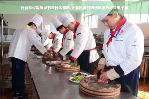 计算机证等级证书是什么样的,计算机证书选纸质版的还是电子版 计算机证等级证书是什么样的,计算机证书选纸质版的还是电子版