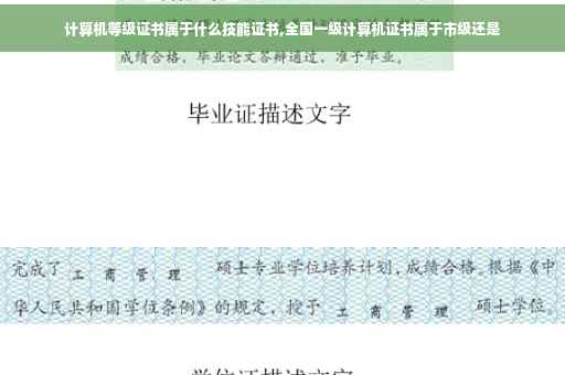 计算机等级证书属于什么技能证书,全国一级计算机证书属于市级还是