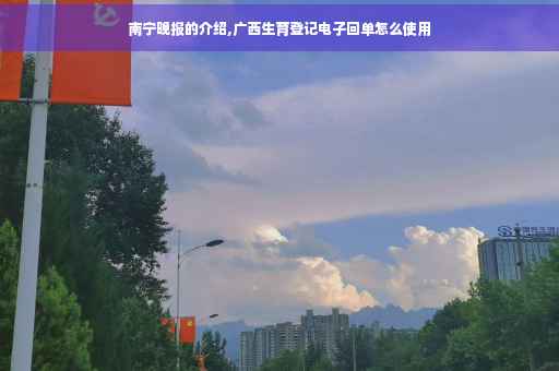 南宁晚报的介绍,广西生育登记电子回单怎么使用