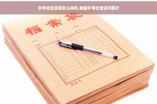 中专毕业证是怎么样的,新版中专毕业证书图片
