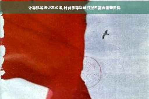 计算机等级证怎么考,计算机等级证书报名需要哪些资料