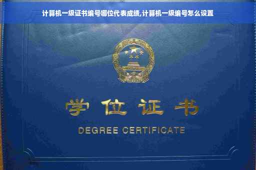 计算机一级证书编号哪位代表成绩,计算机一级编号怎么设置