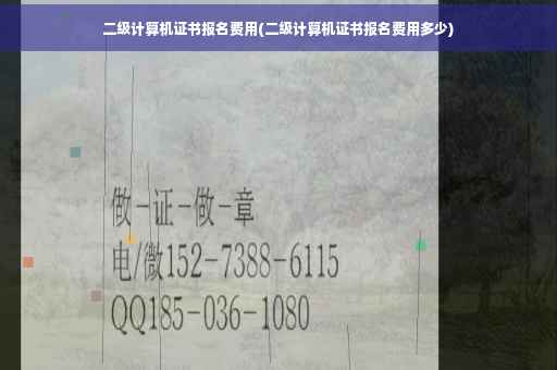 二级计算机证书报名费用(二级计算机证书报名费用多少)