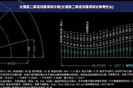 计算机二级证书程序设计类(计算机二级证书程序设计类考什么)