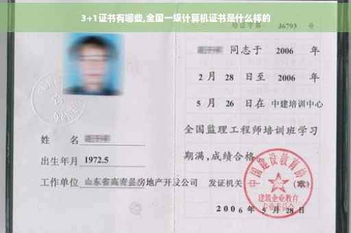 3+1证书有哪些,全国一级计算机证书是什么样的