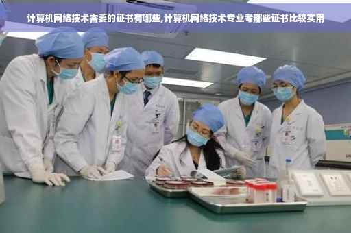 计算机网络技术需要的证书有哪些,计算机网络技术专业考那些证书比较实用