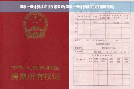 国家一级计算机证书在哪里查(国家一级计算机证书在哪里查询)