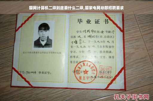 国网计算机二级到底要什么二级,国家电网总部招聘要求