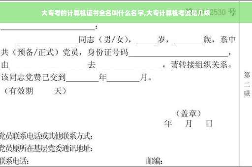 大专考的计算机证书全名叫什么名字,大专计算机考试是几级