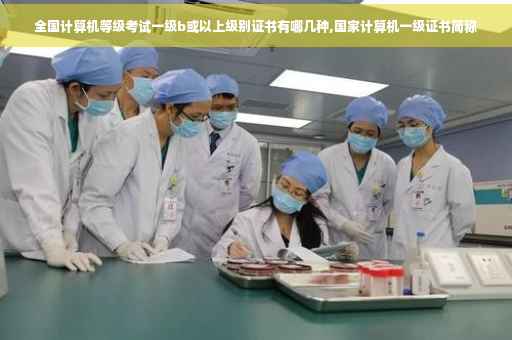 全国计算机等级考试一级b或以上级别证书有哪几种,国家计算机一级证书简称