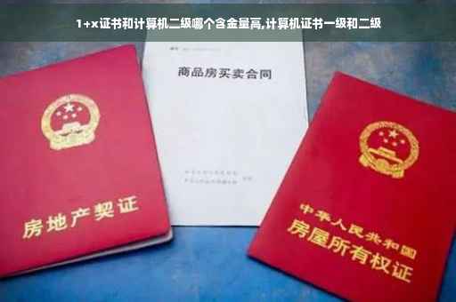 1+x证书和计算机二级哪个含金量高,计算机证书一级和二级