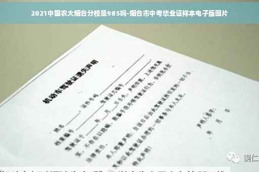 2021中国农大烟台分校是985吗-烟台市中考毕业证样本电子版图片
