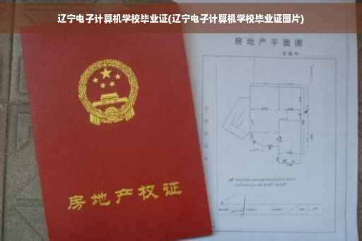 辽宁电子计算机学校毕业证(辽宁电子计算机学校毕业证图片)