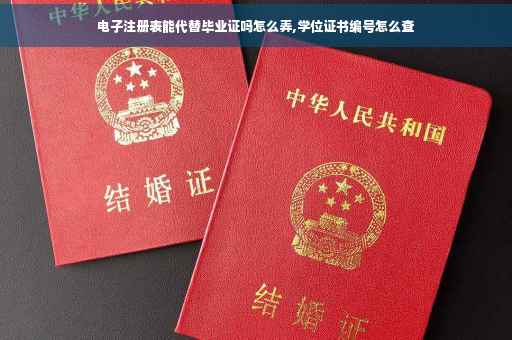 电子注册表能代替毕业证吗怎么弄,学位证书编号怎么查 电子注册表能代替毕业证吗怎么弄,学位证书编号怎么查