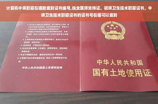 计算机中级职称在哪能查到证书编号,执业医师资格证，初级卫生技术职称证书，中级卫生技术职称证书的证书号在哪可以查到