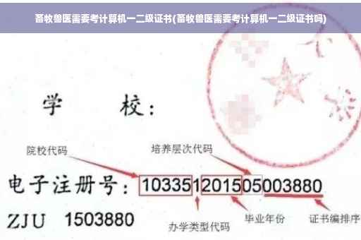畜牧兽医需要考计算机一二级证书(畜牧兽医需要考计算机一二级证书吗)