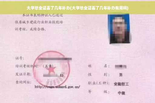 大学毕业证丢了几年补办(大学毕业证丢了几年补办有用吗)